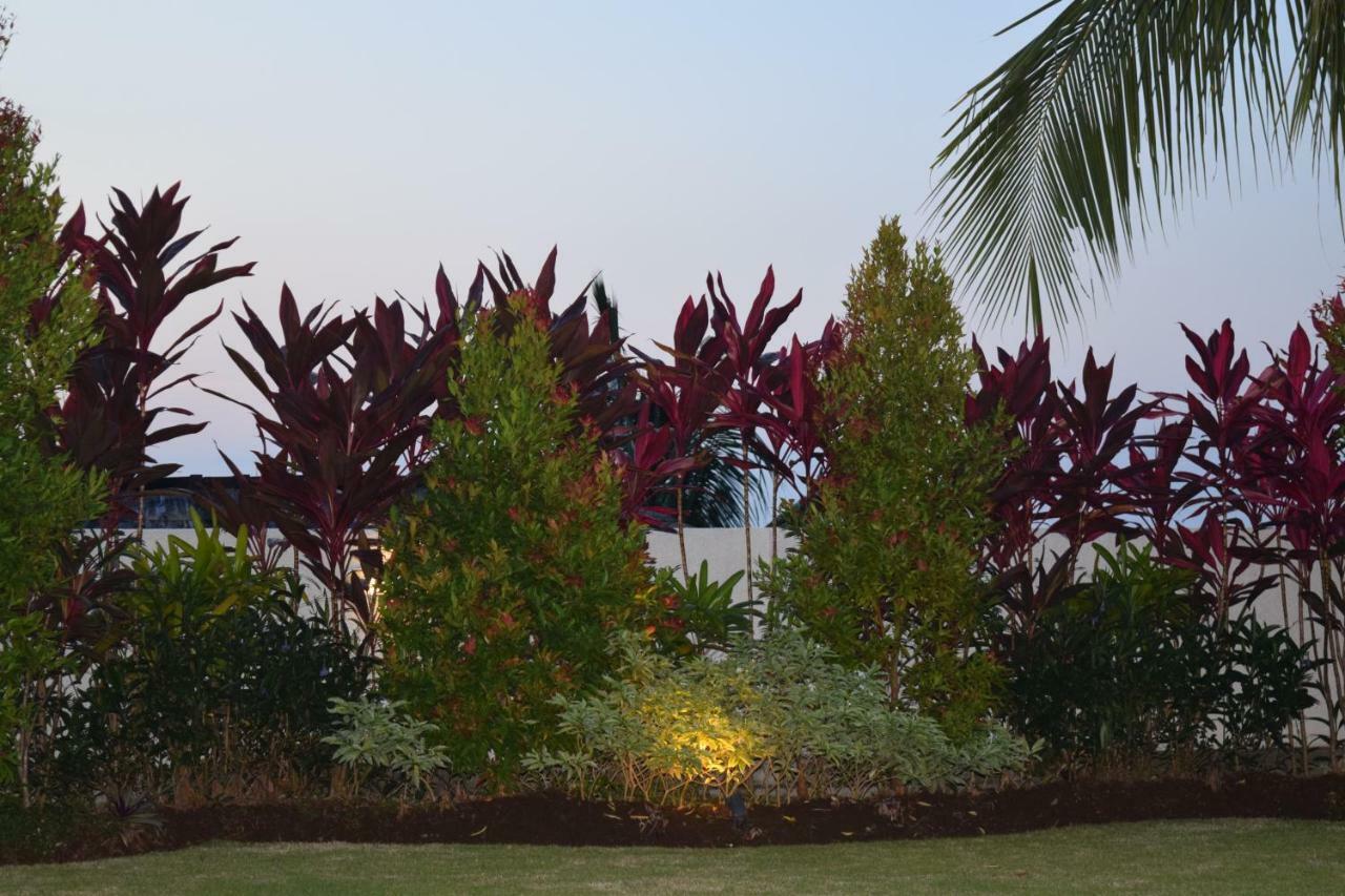 Villa Putih لوفينا المظهر الخارجي الصورة