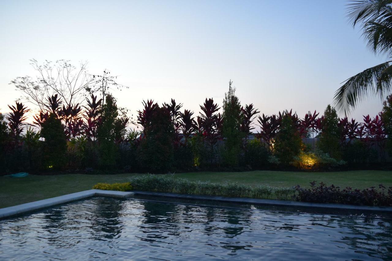 Villa Putih لوفينا المظهر الخارجي الصورة